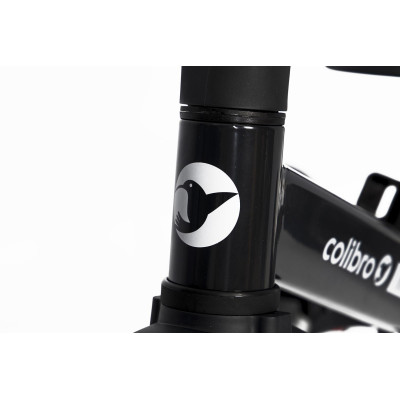 Rowerek dziecięcy Colibro Tremix Magnetic