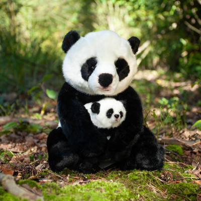 Plyšová panda s mláďaťom 27 cm ECO-FRIENDLY