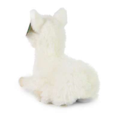 Plyšová lama ležiaci 23 cm ECO-FRIENDLY