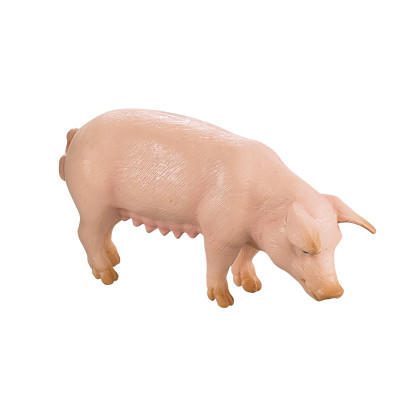 Sada ošípaných 2 ks