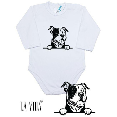 american bully