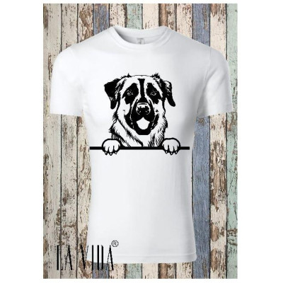 ANATOLIAN SHEPHERD DOG 1