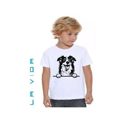 australian shepherd