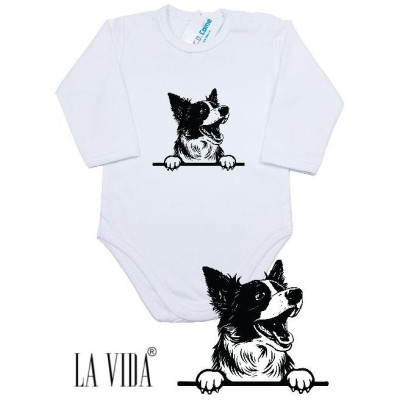 border collie 1