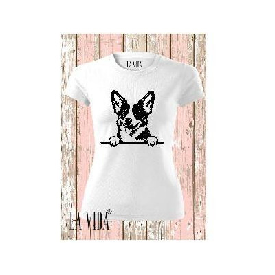 cardigan welsh corgi 1