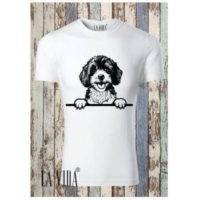 cavapoo