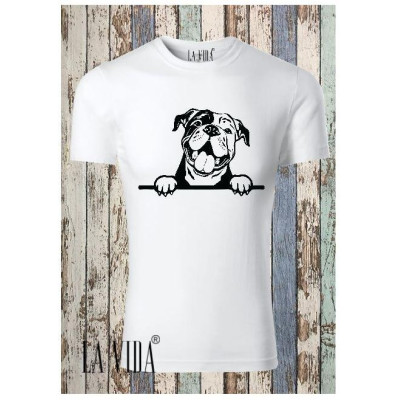 continental bulldog