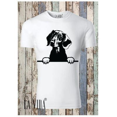 dachshund