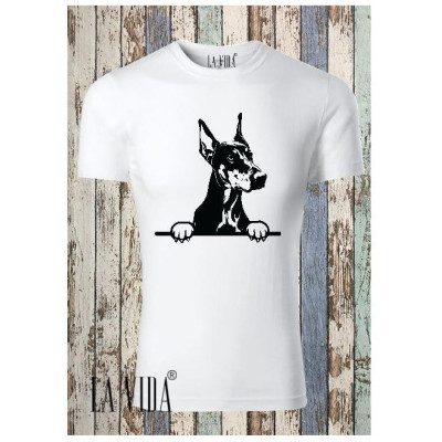 dobermann 1