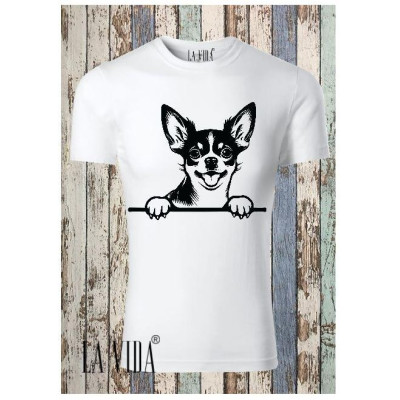 chihuahua