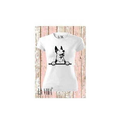 english bull terrier