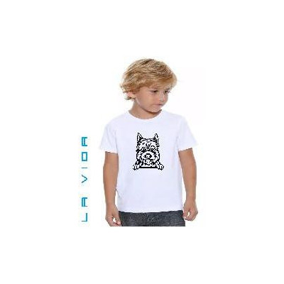 CAIRN TERRIER 2