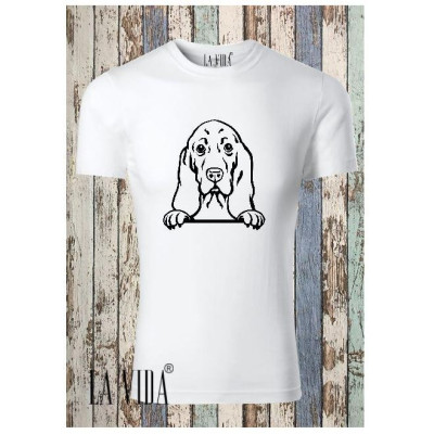 BASSET HOUND 2