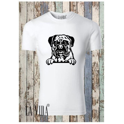 BULLMASTIFF 2
