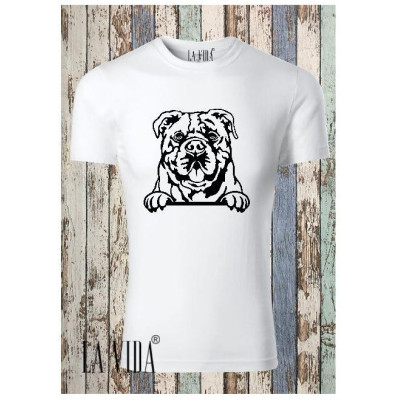 CONTINENTAL BULLDOG